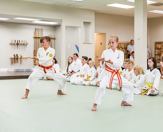 Kids 2025 black belt