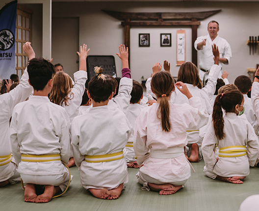 Adult Martial Arts